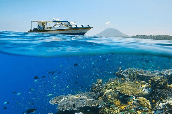 Image of Bunaken National Park